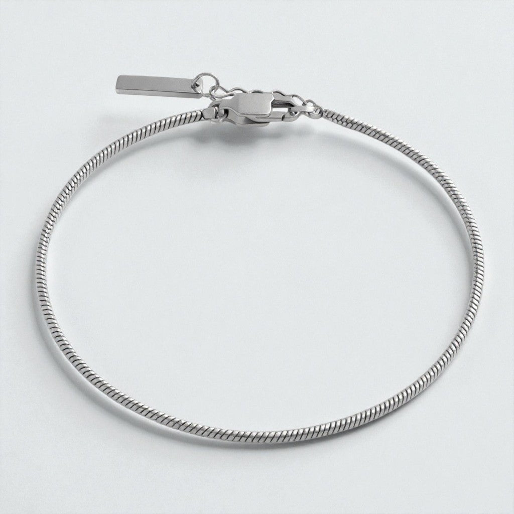 Stainless Steel Snake Chain Bracelet
