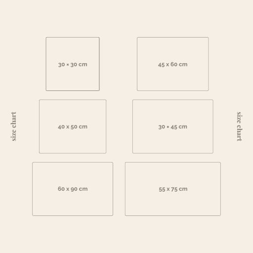 Double-Layer Cat Litter Mat